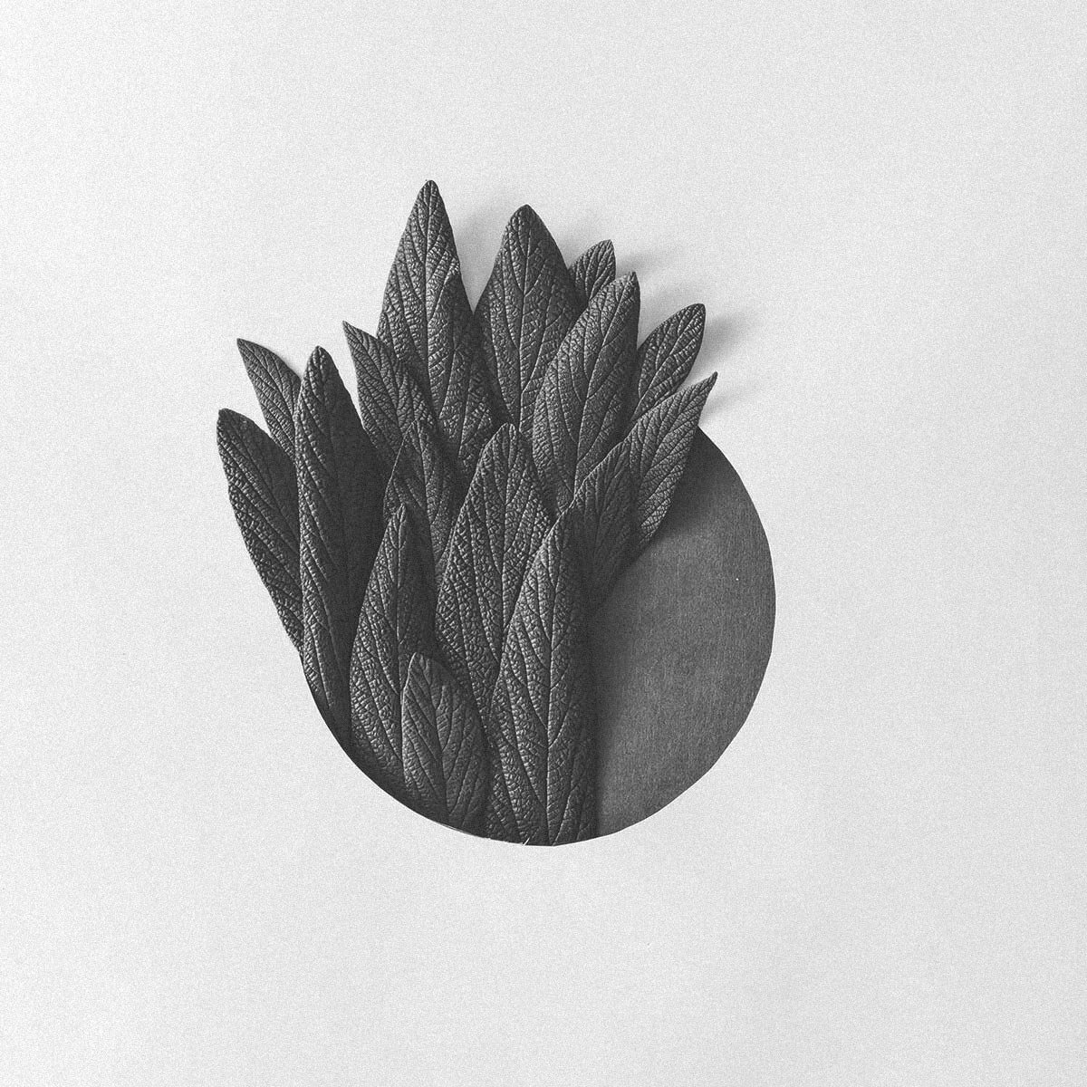portfolio 15